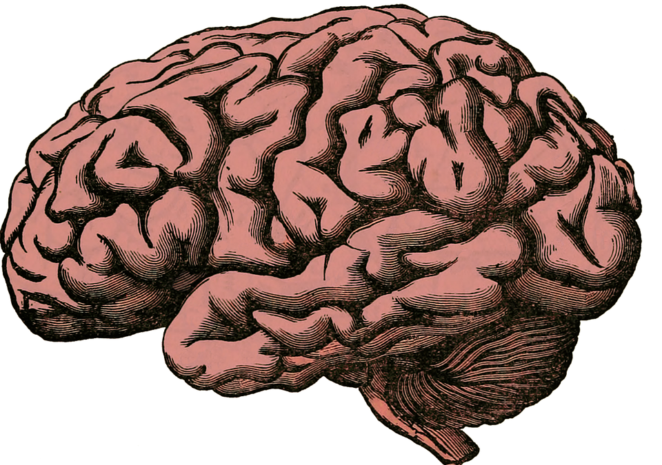 Train Your Brain to Feel Confident — Doctor Explains “Behave As If”