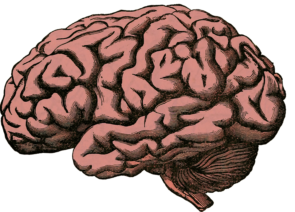 brain-512758_960_720